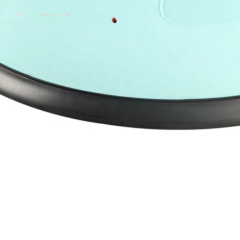 Logo PVC balansbal met weersta - Pilates Yoga Logo recensie en prijs